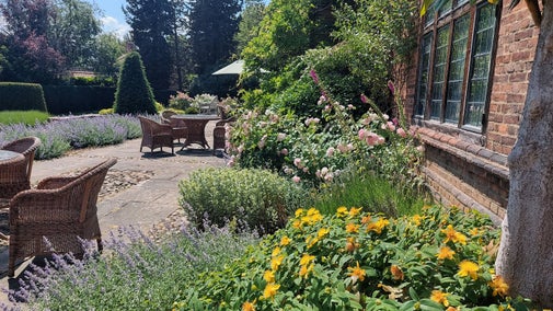 Table and chairs on a terrace surrounded by planting with hints of a garden beyond